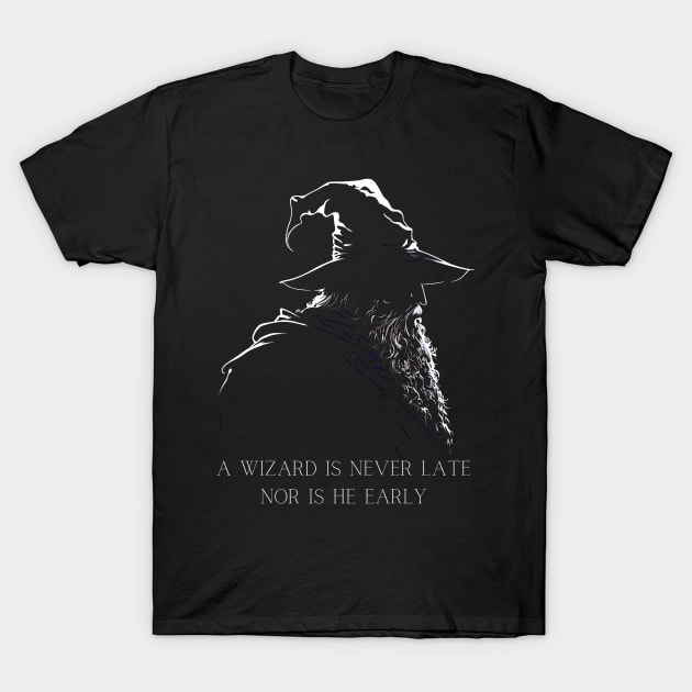Wizard T-Shirt by koalafish